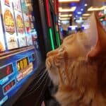 Discover GambleZen: The Premier UK Casino Experience